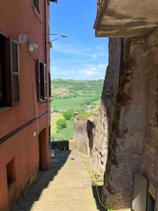 Appartamento Nel Borgo Orte Ngoại thất bức ảnh